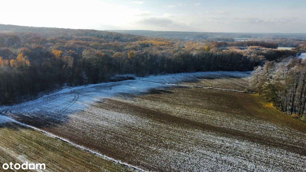 Działka Inwestycyjna/mpzp - Mn/ Okolice Obornik ŚL - Pełny obrazek: 3/13