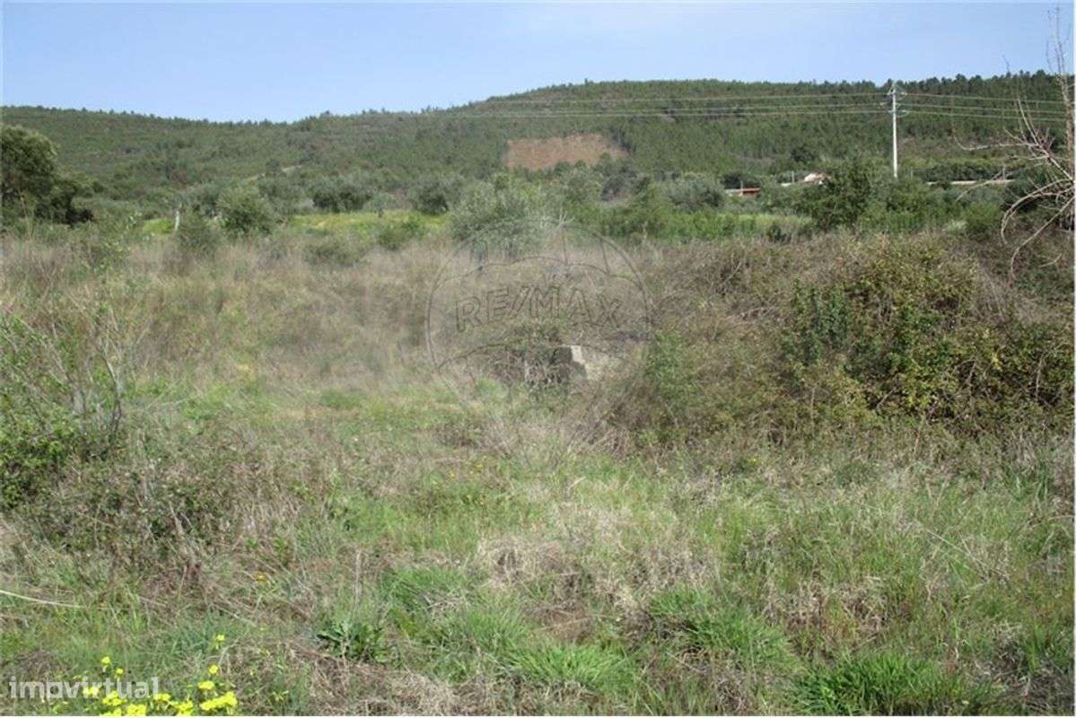 Quinta T0 para venda - Grande imagem: 3/46