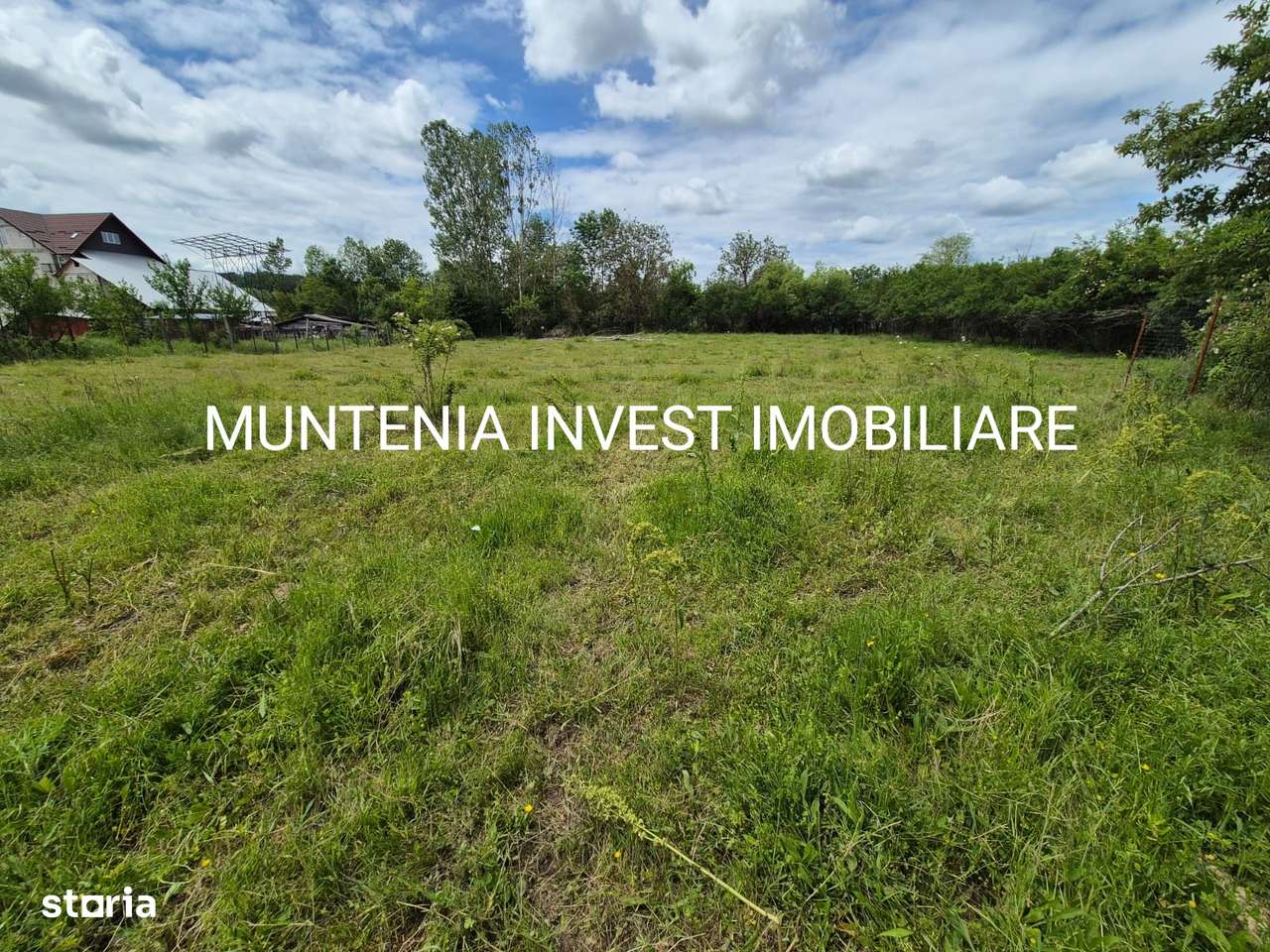 De vânzare teren 4900 mp. Com. Vedea - Imagine principală: 5/11