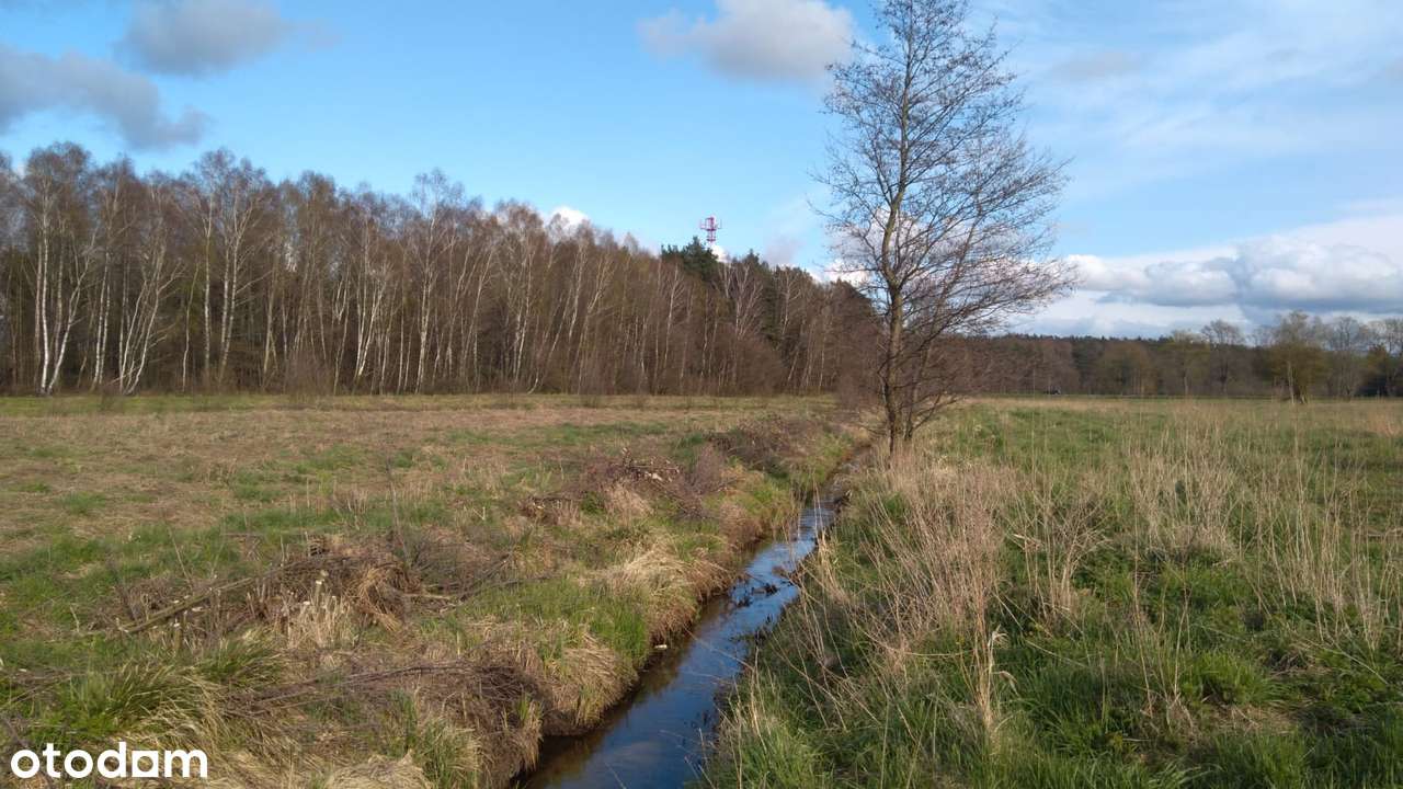 Działki blisko morza w super cenie-1