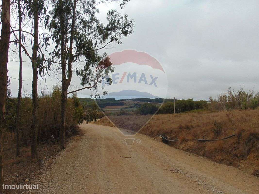 Terreno  para venda - Grande imagem: 5/7