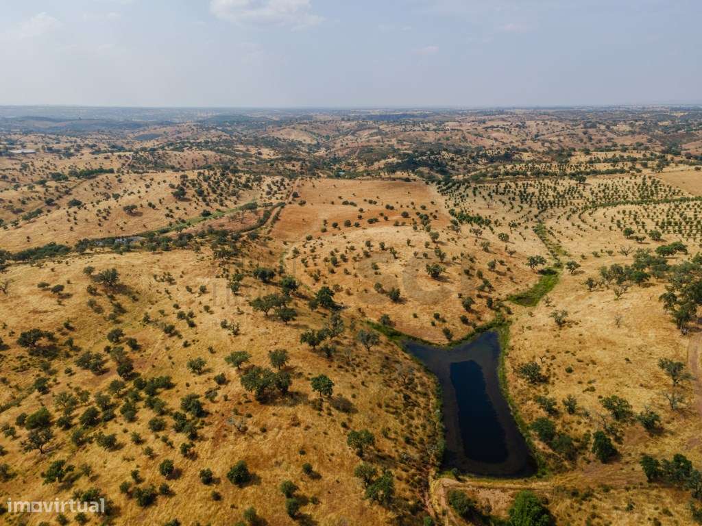 Herdade em Vila Nova de São Bento | 172 hectares-9