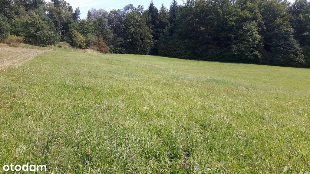 Sprzedam działkę budowlaną - Pełny obrazek: 5/6