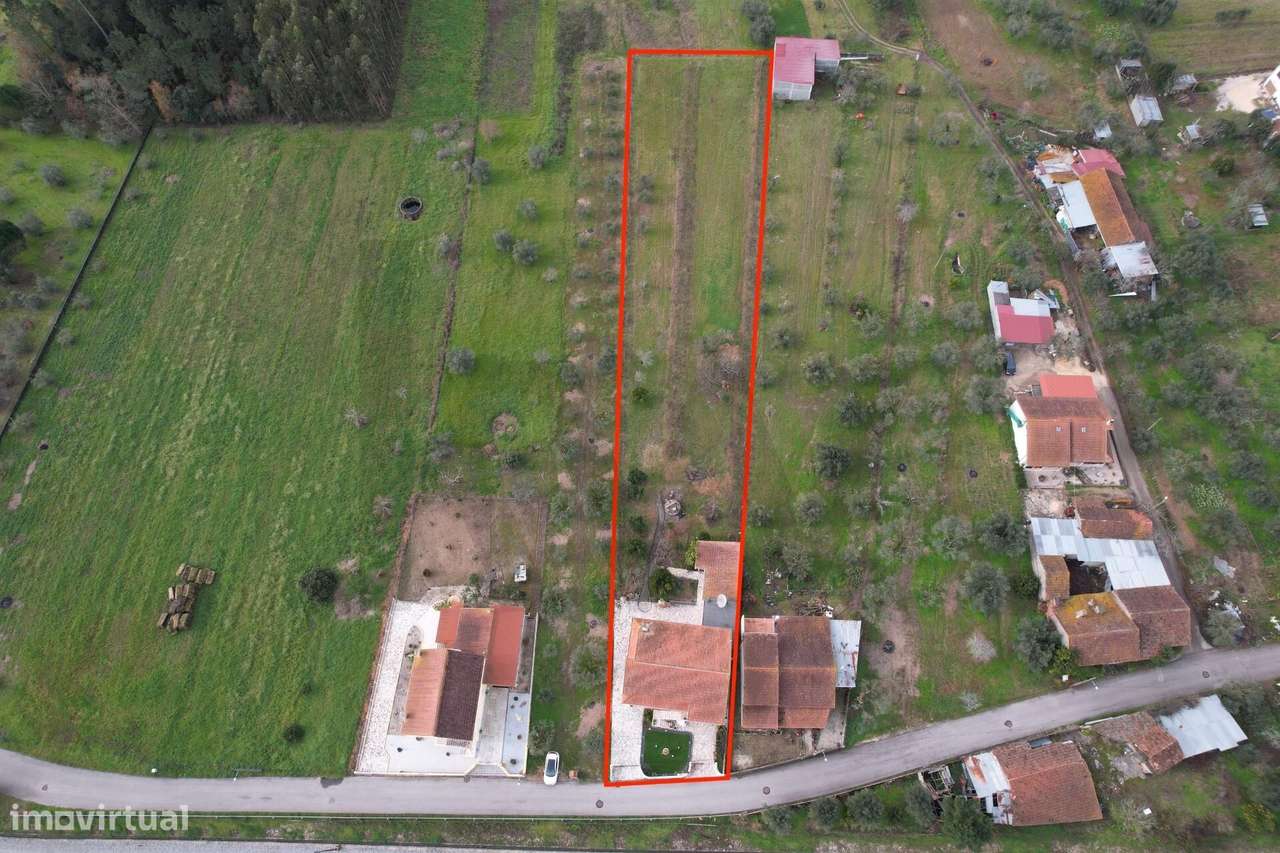 Moradia T4+1 Soure I Lote de 3000m2 - Grande imagem: 5/60