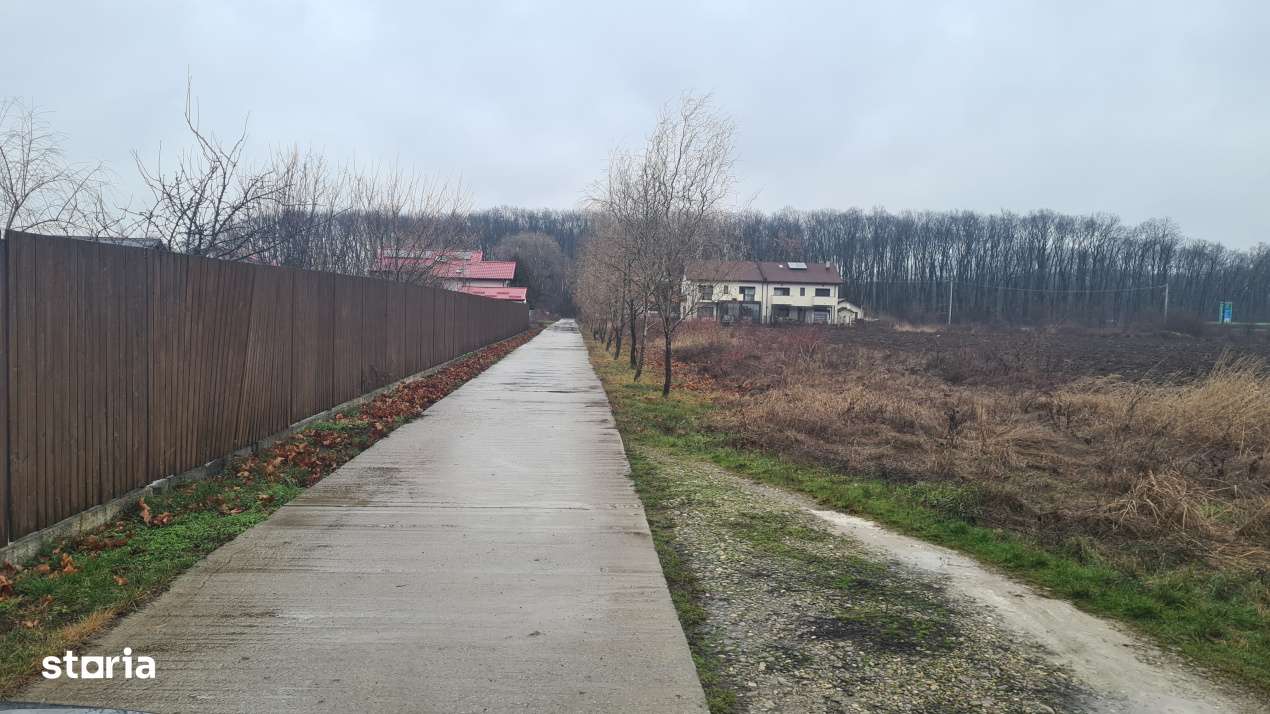 Teren premium rezidential sau industrial 26.651mp Corbeanca – acces-8