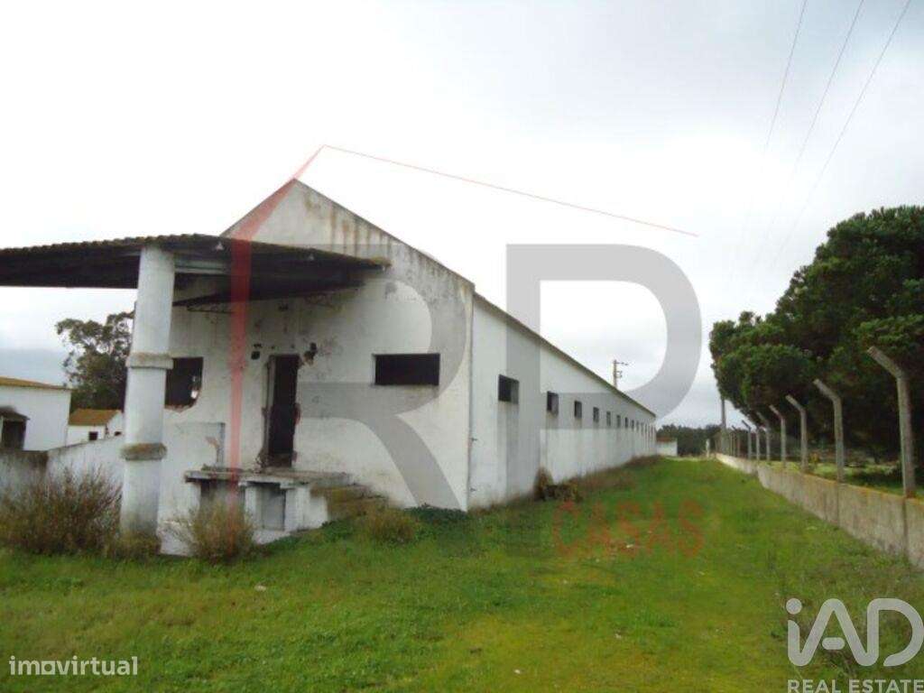 Terreno industrial em Quinta do Anjo - Grande imagem: 5/12