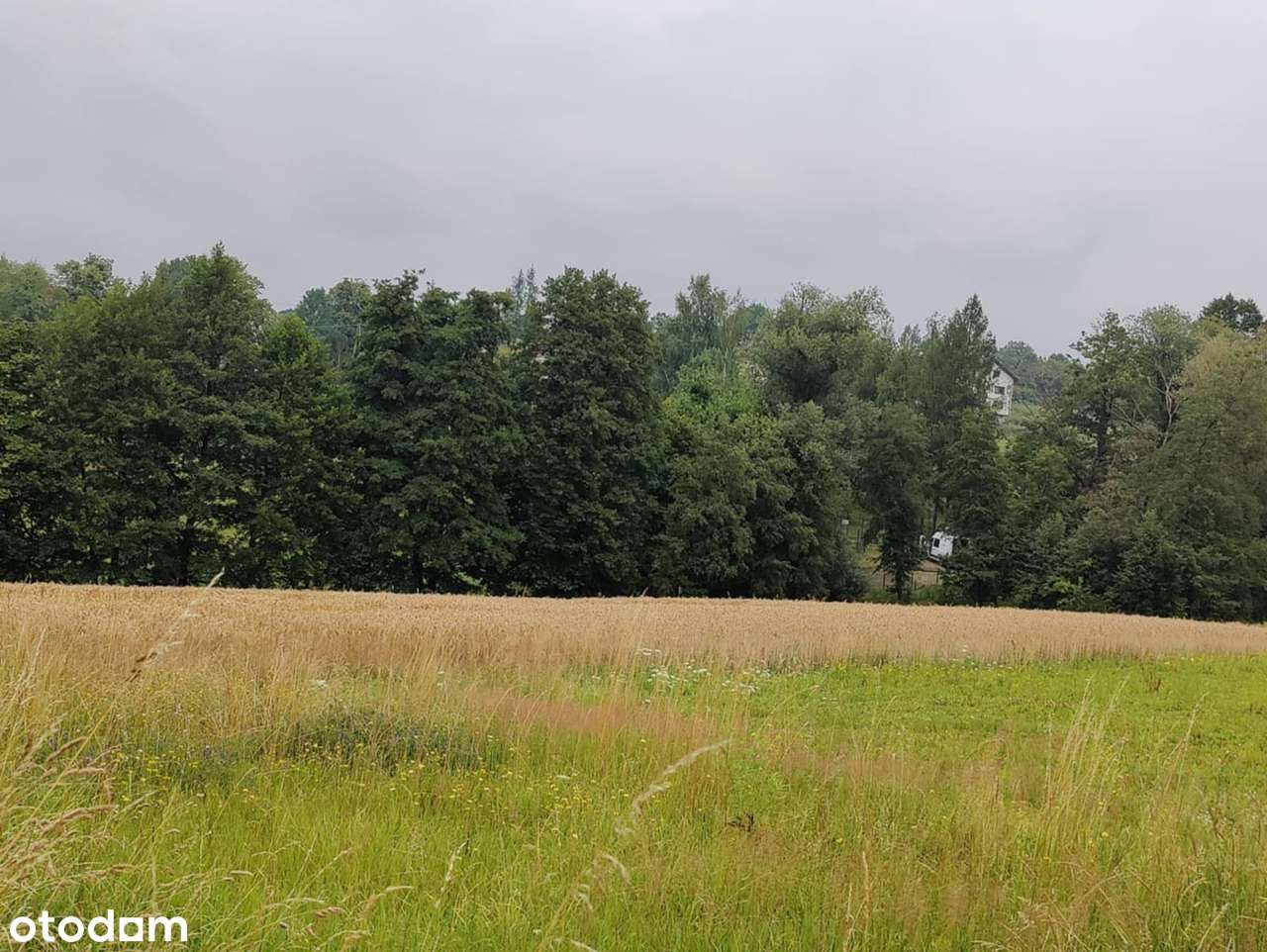 Działka budowalna 1554m2 blisko Skoczowa w miejscowości Międzyświeć - Pełny obrazek: 5/7