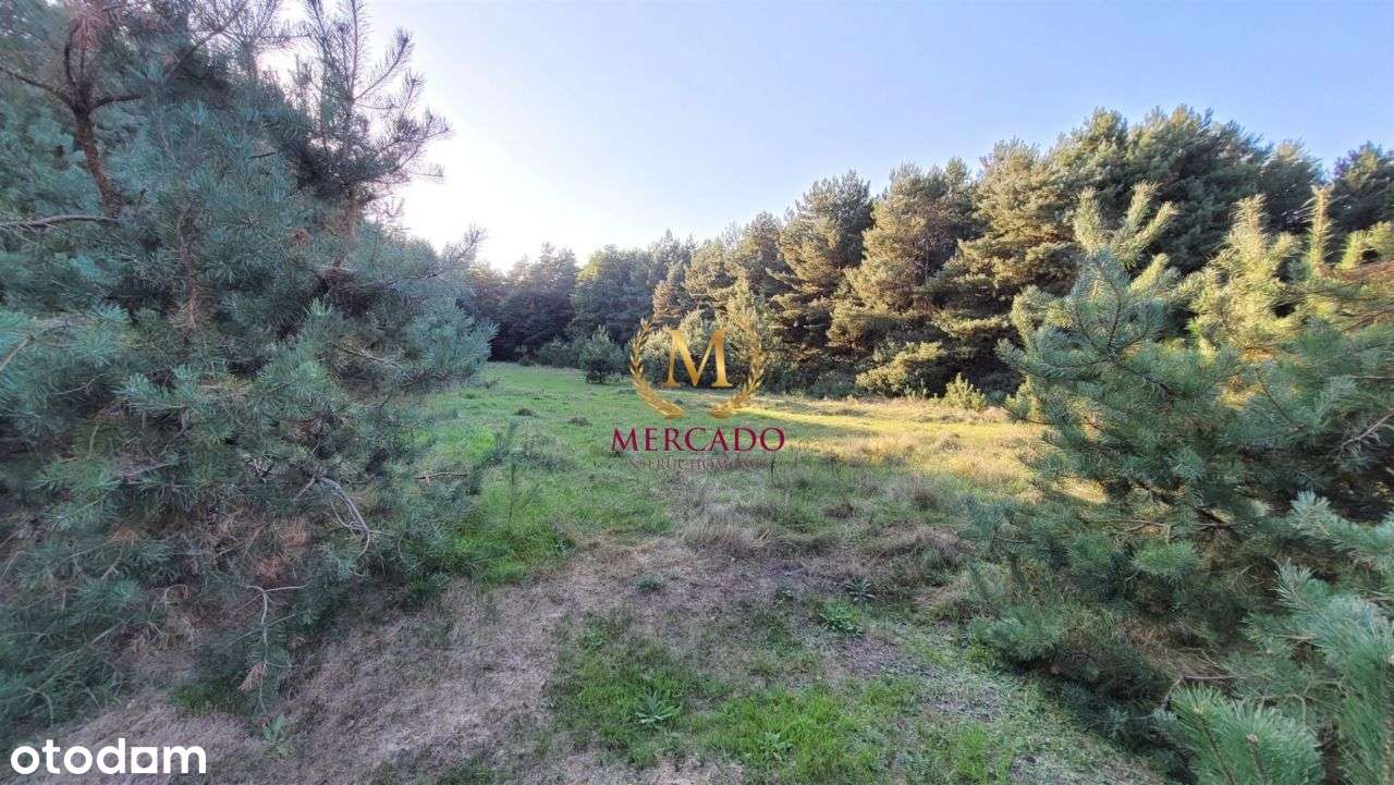 4w1 działki budowlane Krzyżowki - Pełny obrazek: 3/8