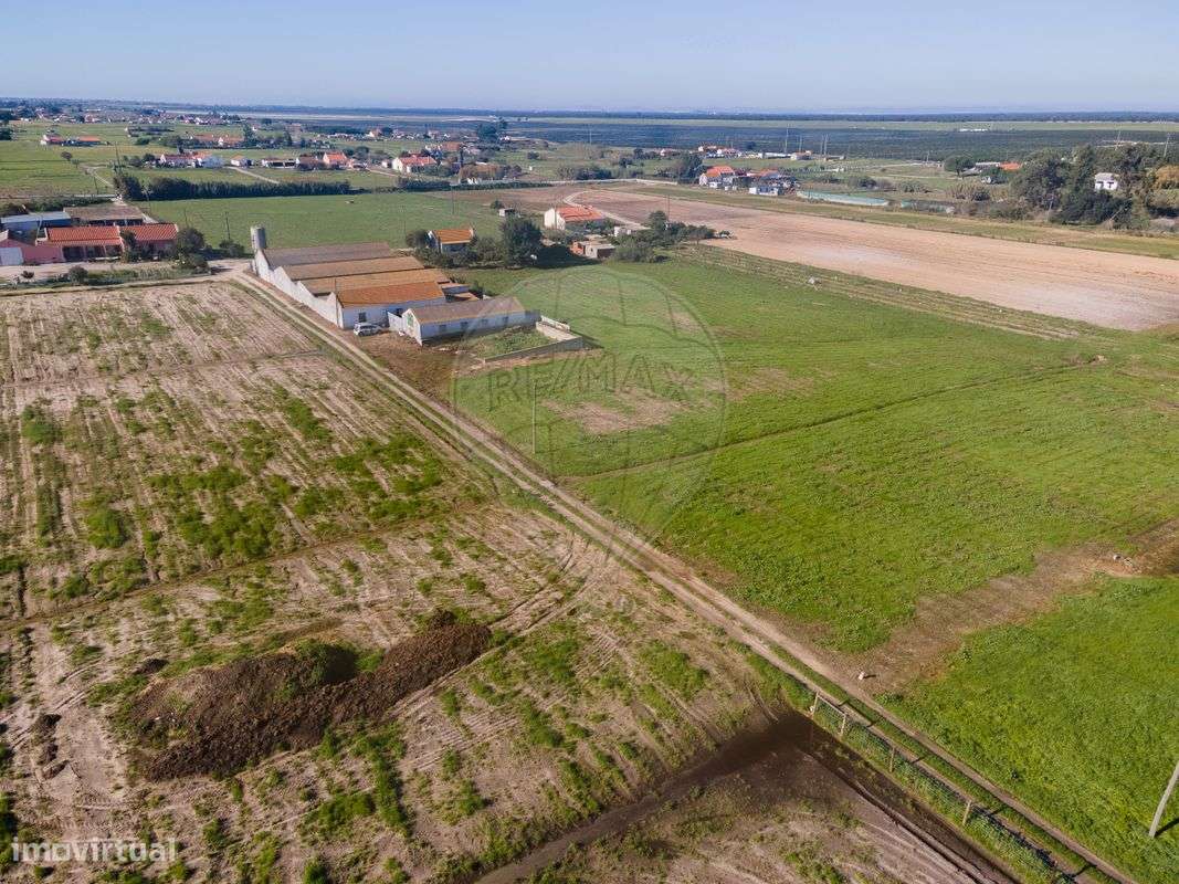 Quinta  para venda - Grande imagem: 4/13