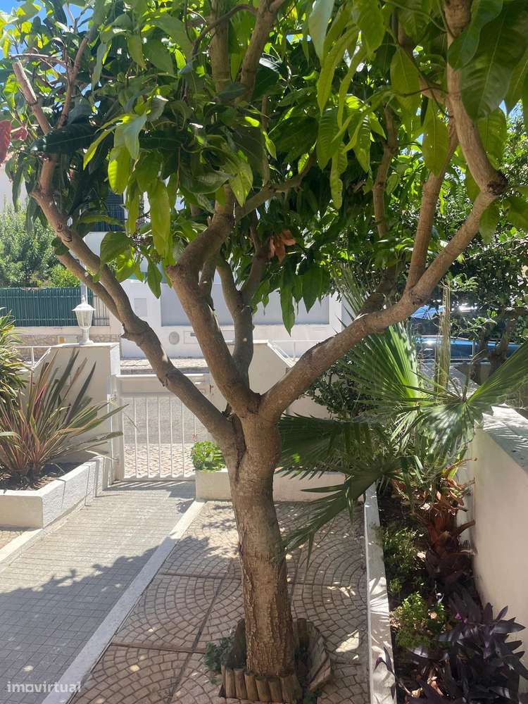 Moradia em Banda T4 de 3 Pisos com Garagem-21