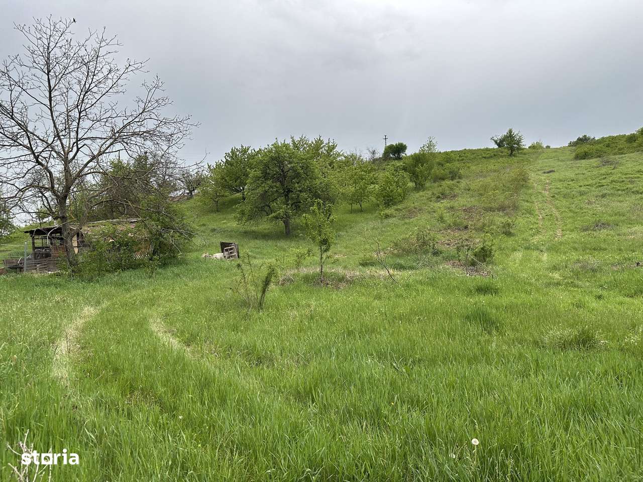 Teren 4062 mp de vanzare in zona Dealuri Oradea - Imagine principală: 4/9