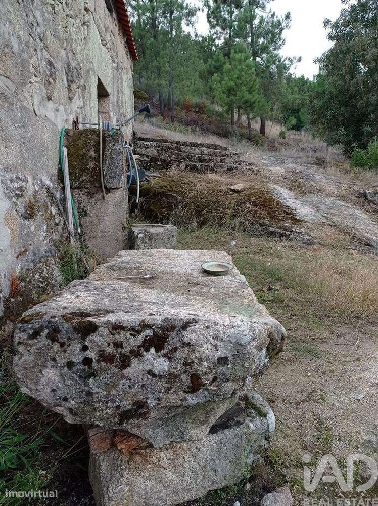 Terreno Agrícola em Sendim-11