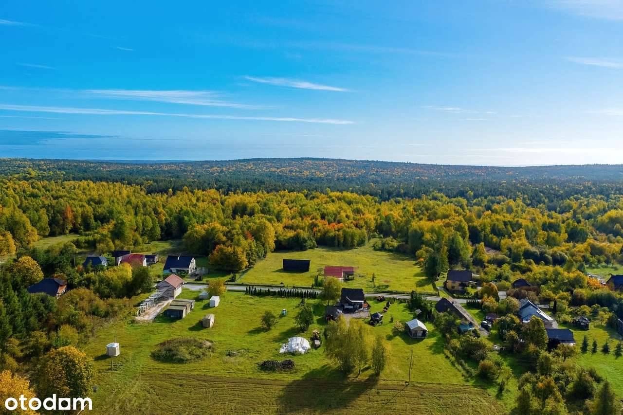 Siedlisko na szczycie Mazowsza – 3,8 ha z potencjałem rozwoju.-2