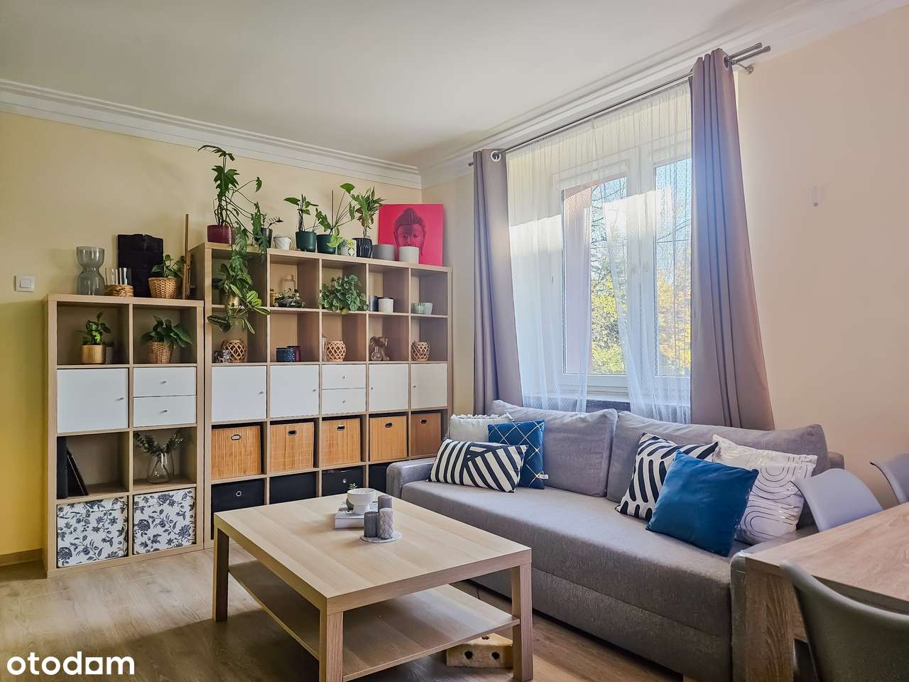 Dzień Otwarty 21.02 - Trzypokojowe mieszkania  - ZOBACZ FILM-2