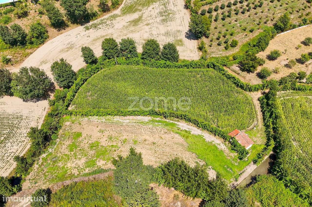 Terreno, 2 386 m², São Gens-6