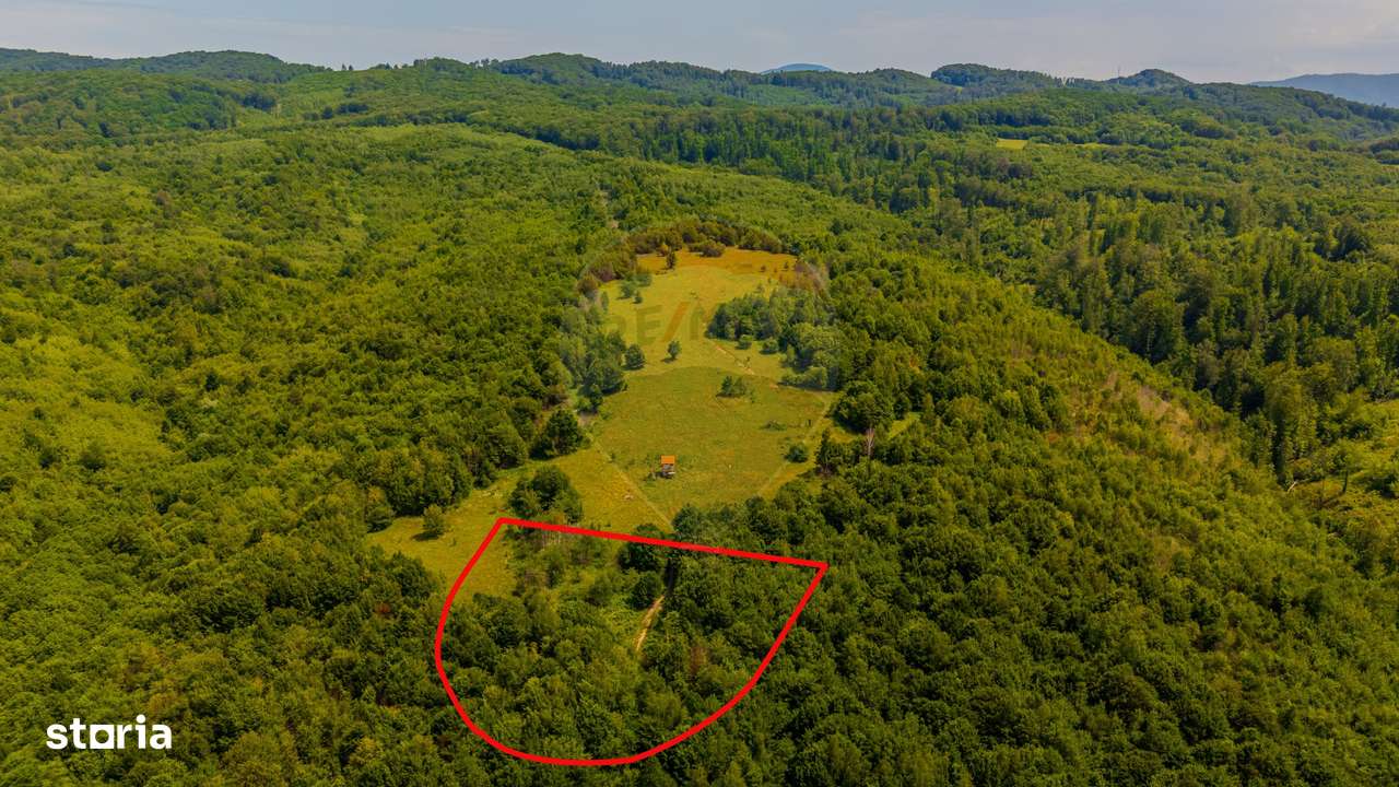 COMISION 0%  Teren 6,572 mp/Curți construcții/ Intravilan - Imagine principală: 5/8