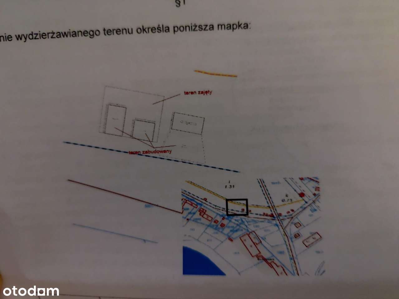 Odstąpię dzierżawioną działkę w świetnej lokalizacji w Boszkowie. - Pełny obrazek: 5/6