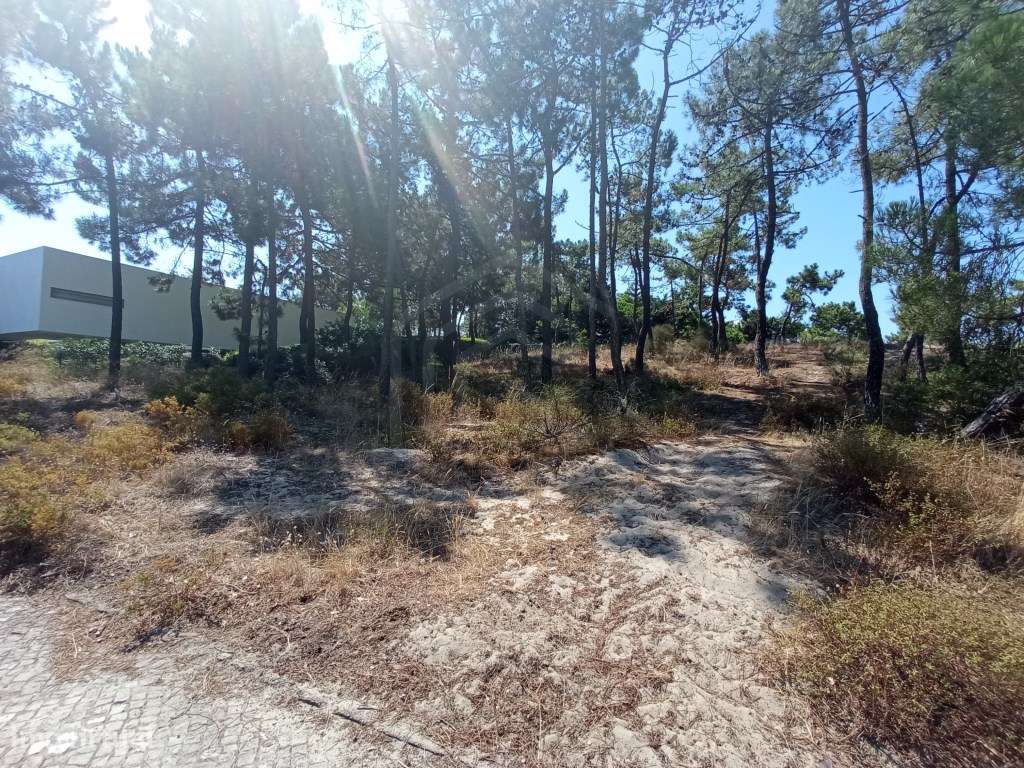 Terreno Troia - Grande imagem: 3/15