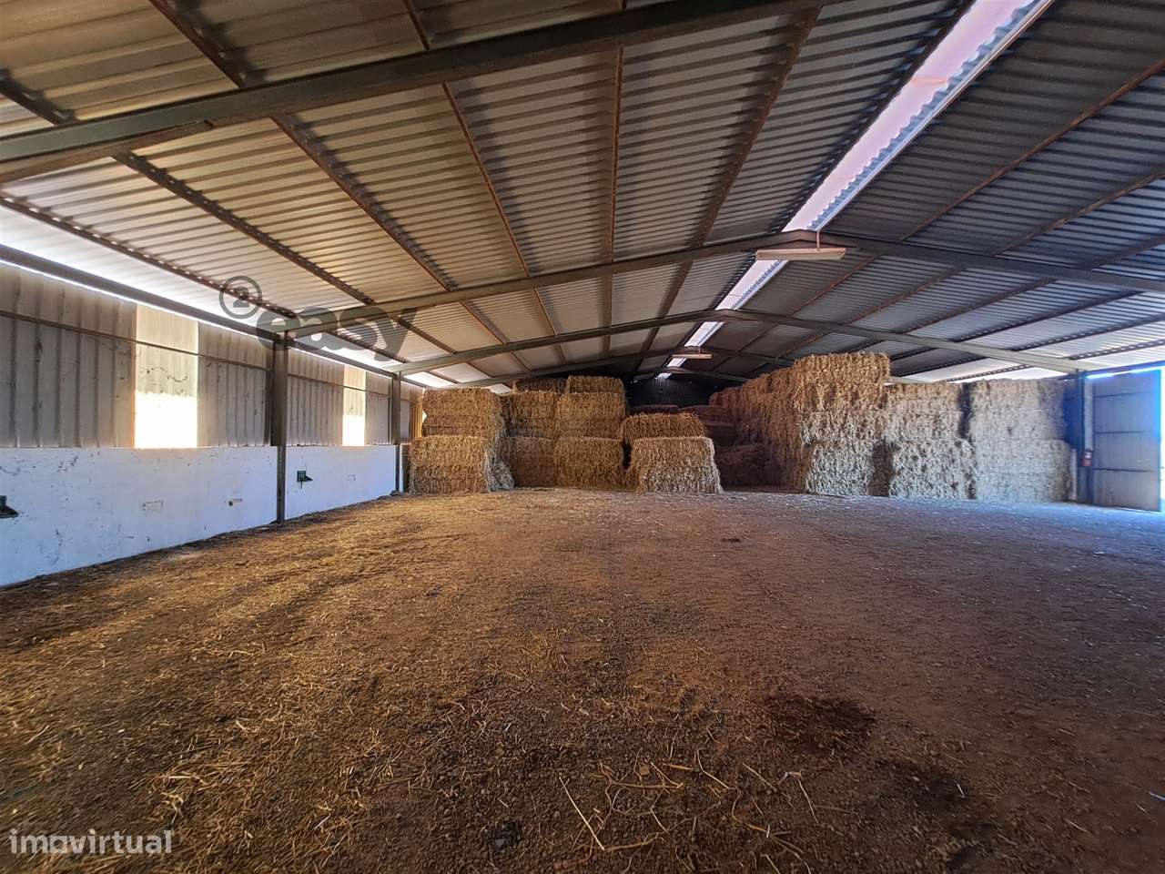 HERDADE COM SALA DE ORDENHA OVINOS ou CAPRINOS E ARMAZÉNS EM SELMES e - Grande imagem: 4/41