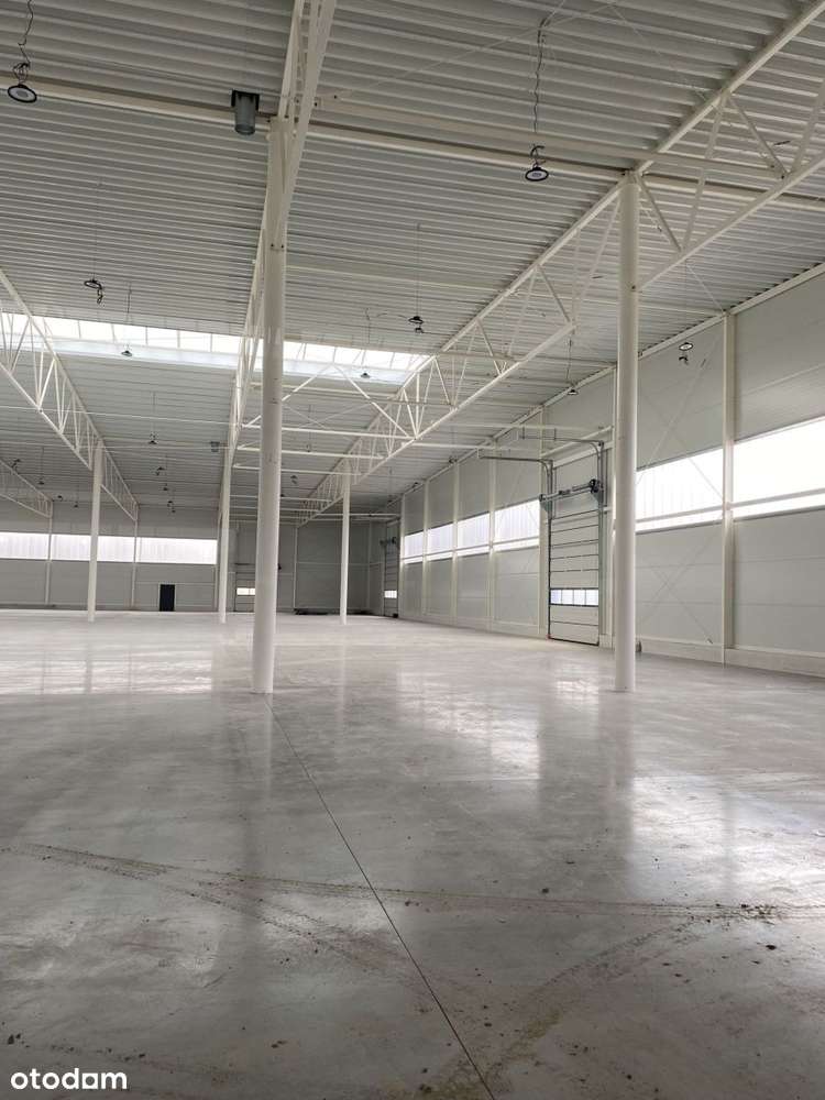 Obiekt do sprzedaży - Pełny obrazek: 4/5