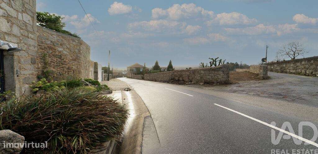 Terreno em São romão de neiva de 7500,00 m2 - Grande imagem: 4/9