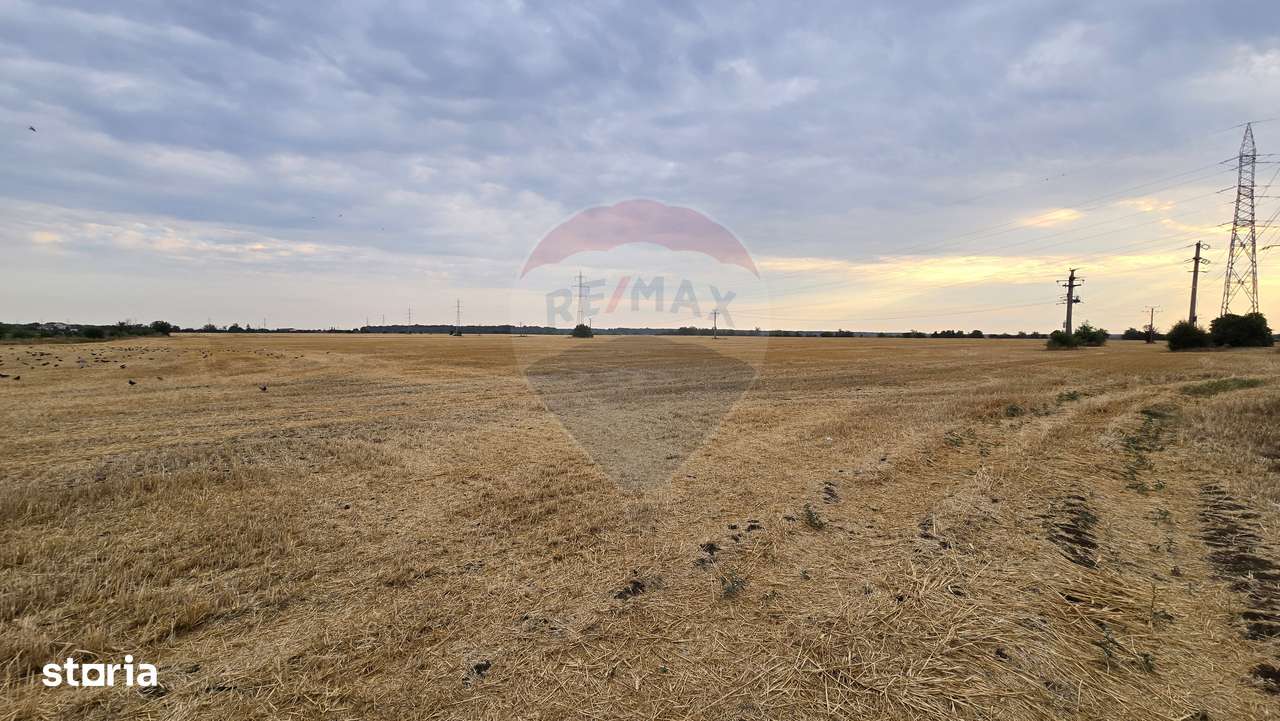 Teren intravilan Buftea, soseaua Tamasi - Imagine principală: 4/6