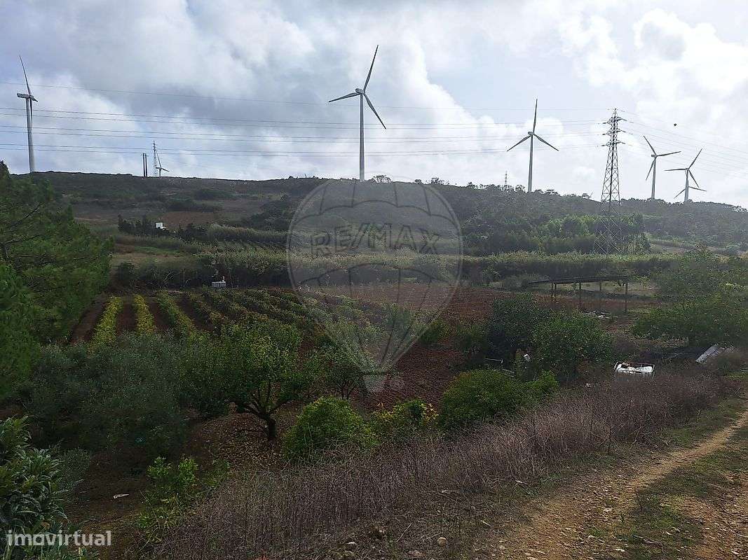 Terreno  para venda - Grande imagem: 4/4