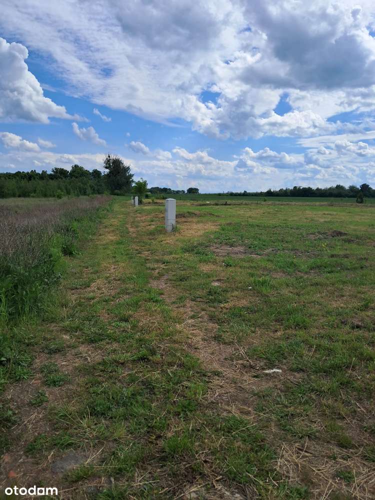 Brzeg, działka budowlana 800 m2 z mediami, dojazd drogą asfaltową - Pełny obrazek: 4/4