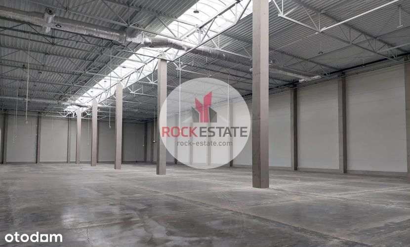 Magazyn pod Wrocławiem 3tys m2 od zaraz - Pełny obrazek: 4/9
