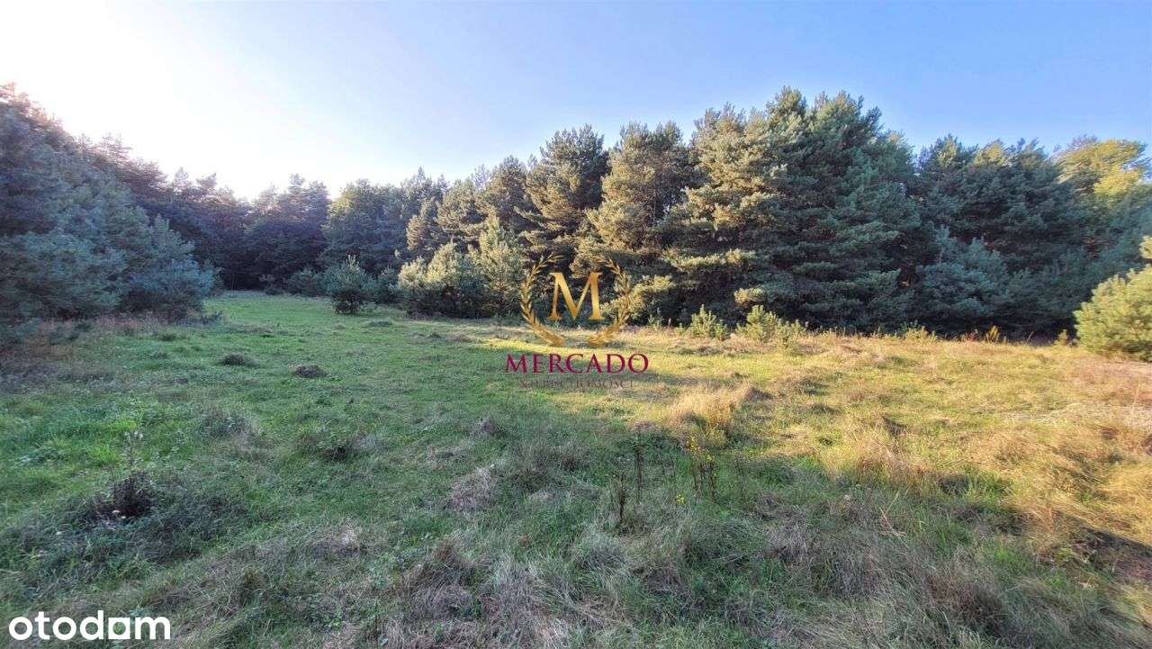 4w1 działki budowlane Krzyżowki - Pełny obrazek: 4/8