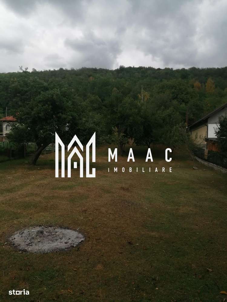 Teren Intravilan 10.000 mp | Livadă + Pădure de salcâm | Bărbătești-1