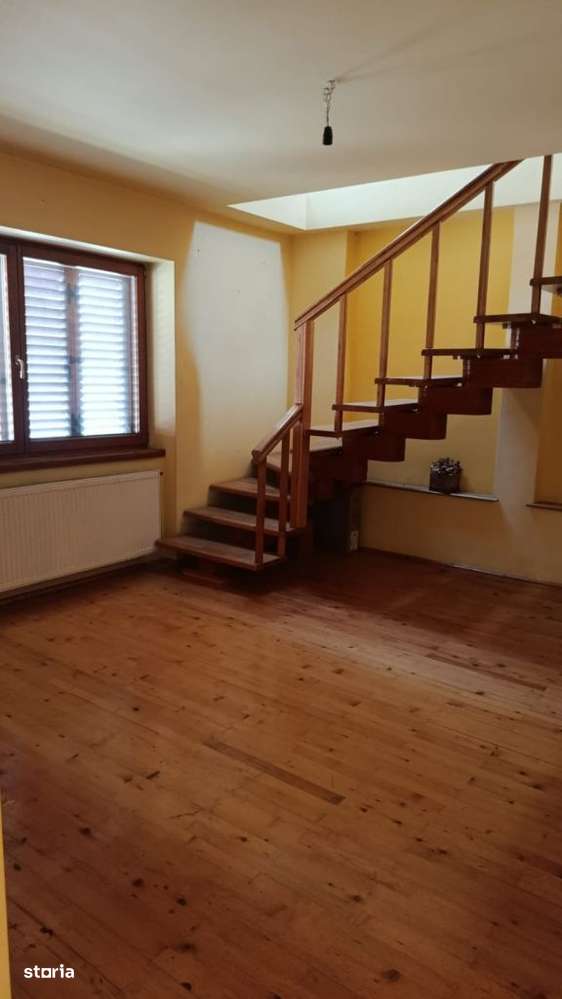 BEIUS, AUREL VLAICU CASA P+M, 200 MP SI TEREN 250 MP.-14