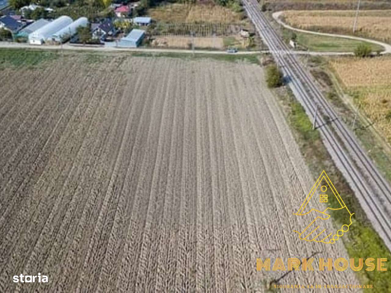 Teren intravilan de vânzare, Răcăciuni, Bacău 23.100 mp, 140 ml la E85 - Imagine principală: 4/6