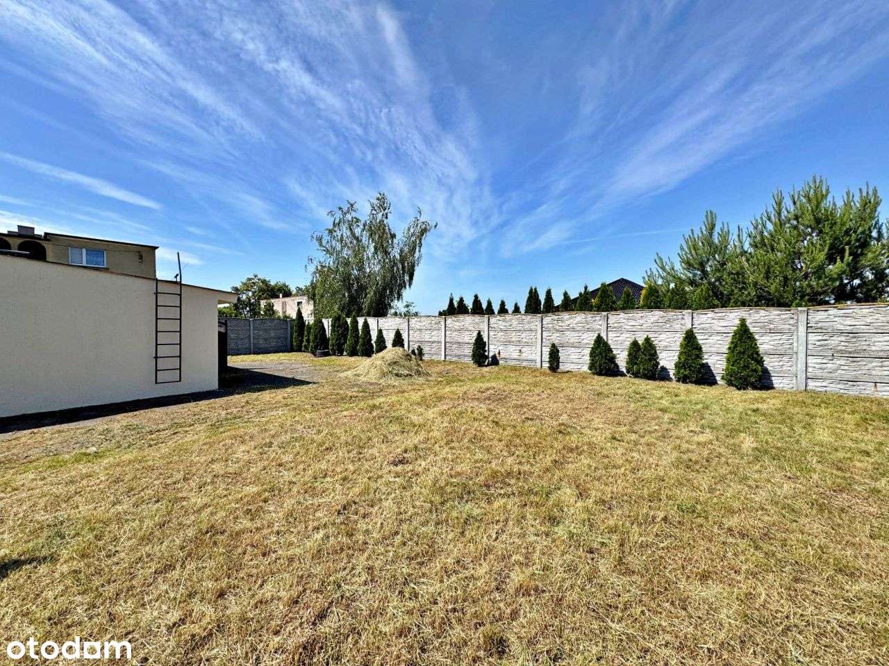 Niezależny Lokal/Budynek Usługi/Handel/Sklep z Dzi-5