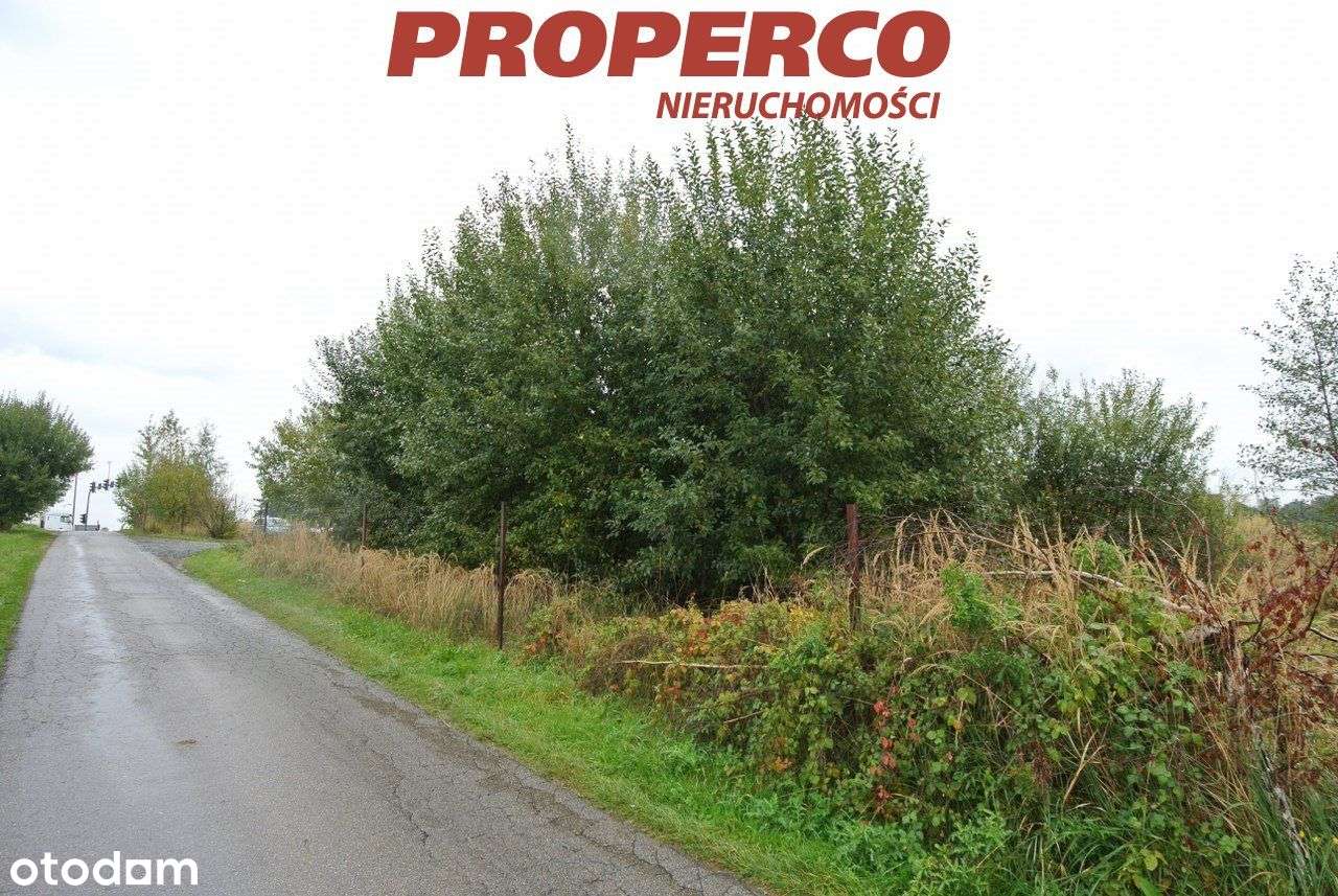 Działka 3856m2, Czechowice Dziedzice-4