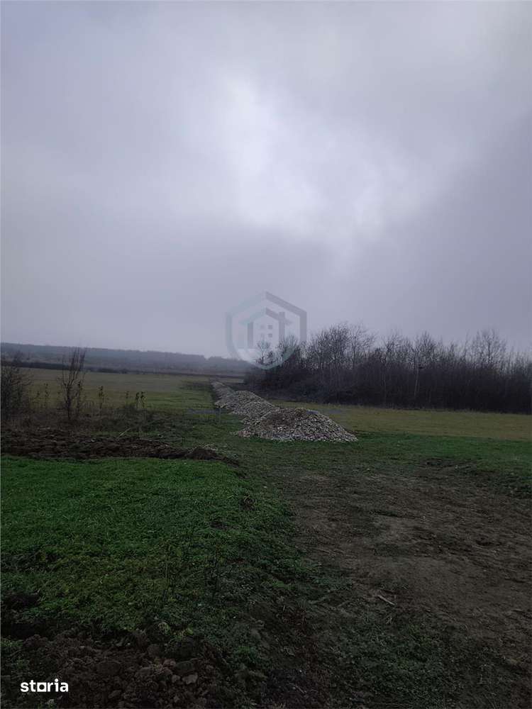 Teren intravilan in Cihei-2