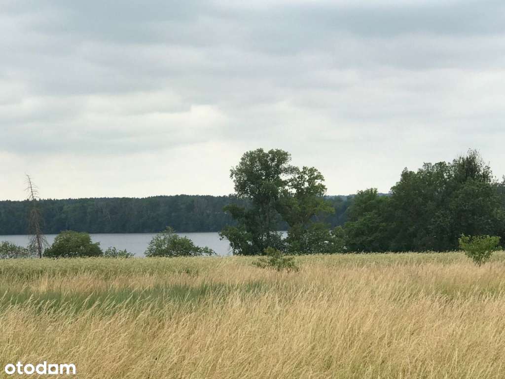 Działka nad jeziorem Osiek, Ługi. - Pełny obrazek: 5/9