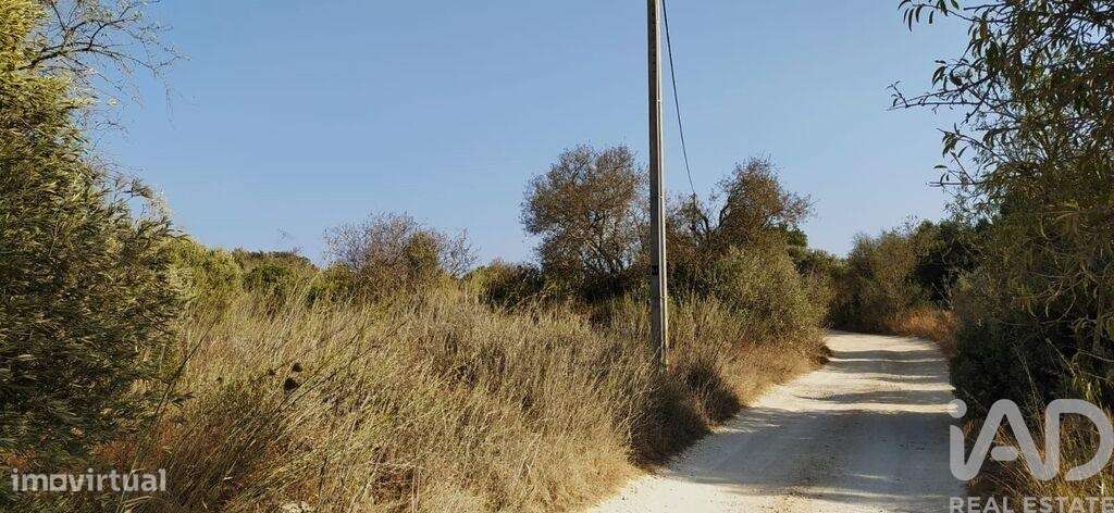 Terreno T1 em Bensafrim e Barão de São João de 25200,00 m2 - Grande imagem: 4/29