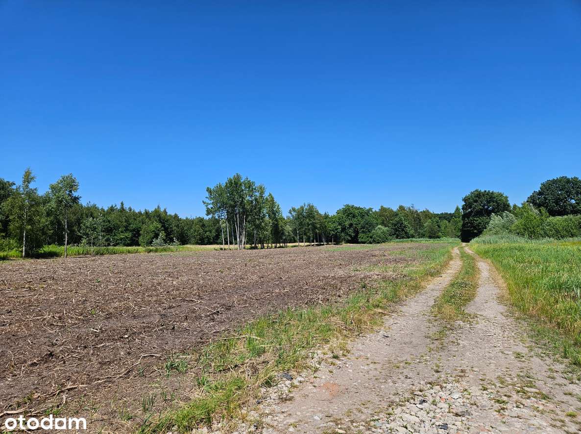 Działka z koncepcją zabudo. PUM 5 645,84 Blizniaki, szeregówki-Tramwaj-6