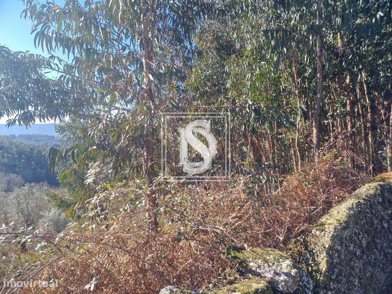 Terrenos não urbanizáveis para venda em lote ou individualmente- Pinhe - Grande imagem: 5/7