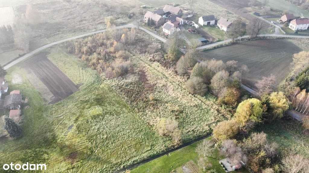 Działka mieszkalno-usługowa 50 arów - Pełny obrazek: 3/7