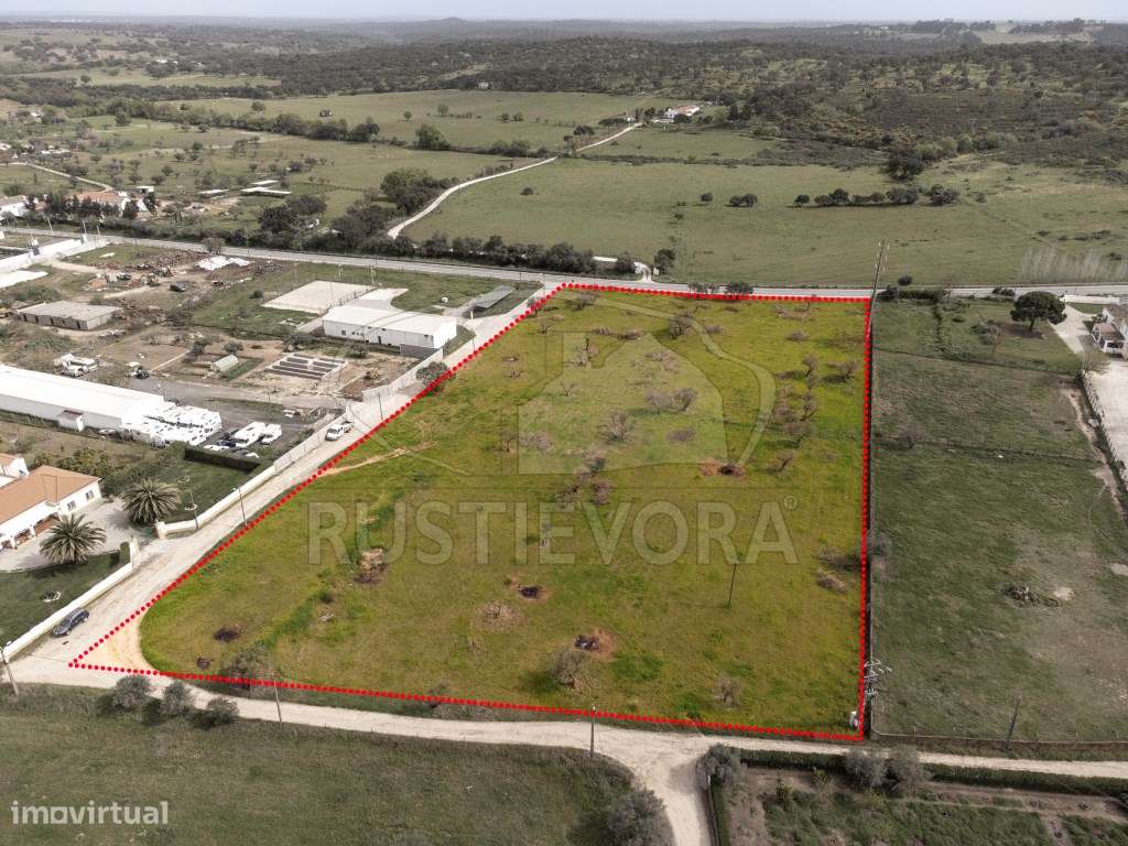 Quinta | Évora | Alentejo - Grande imagem: 1/22