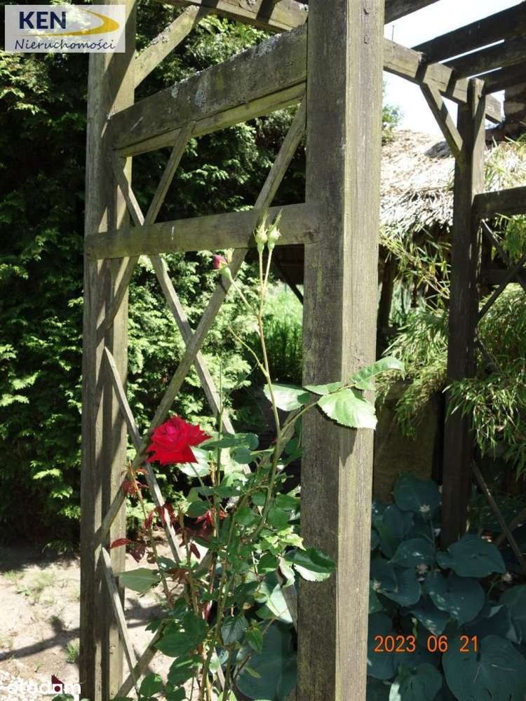 Wyjątkowa posiadłość w Niemczu-17