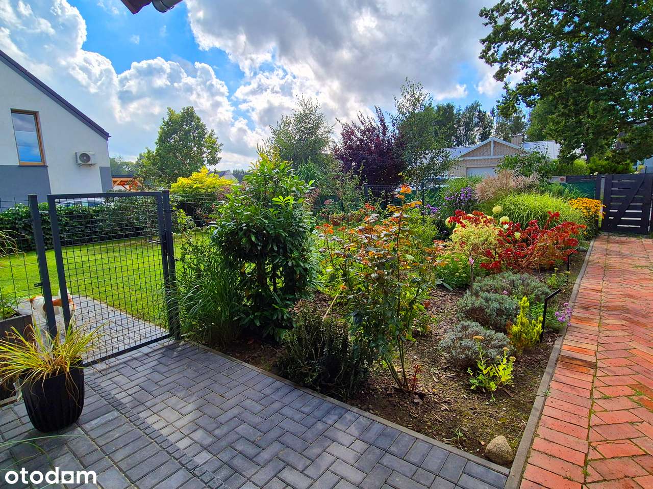 Dom wolnostojący Banino 155 (+20) m2 + LOKAL USŁUGOWY + działka 800 m2 - Pełny obrazek: 5/10