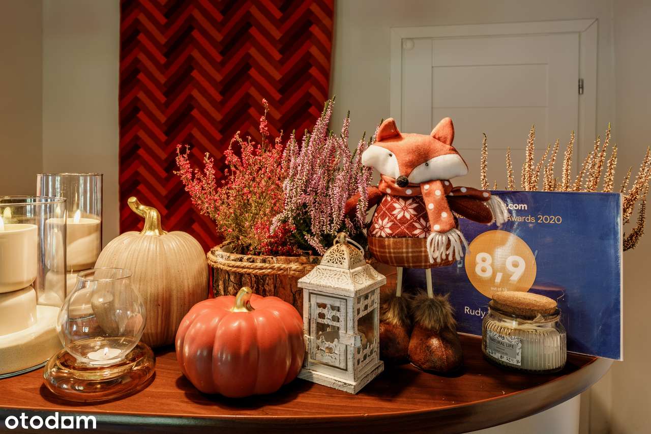 Rudy Lis - Inwestycja w sercu Szczyrku z pewnym potencjałem-5