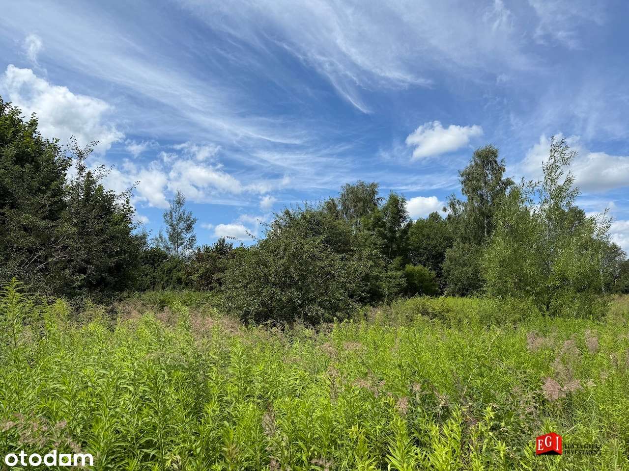 Działka rolna_Chruszczobród-3