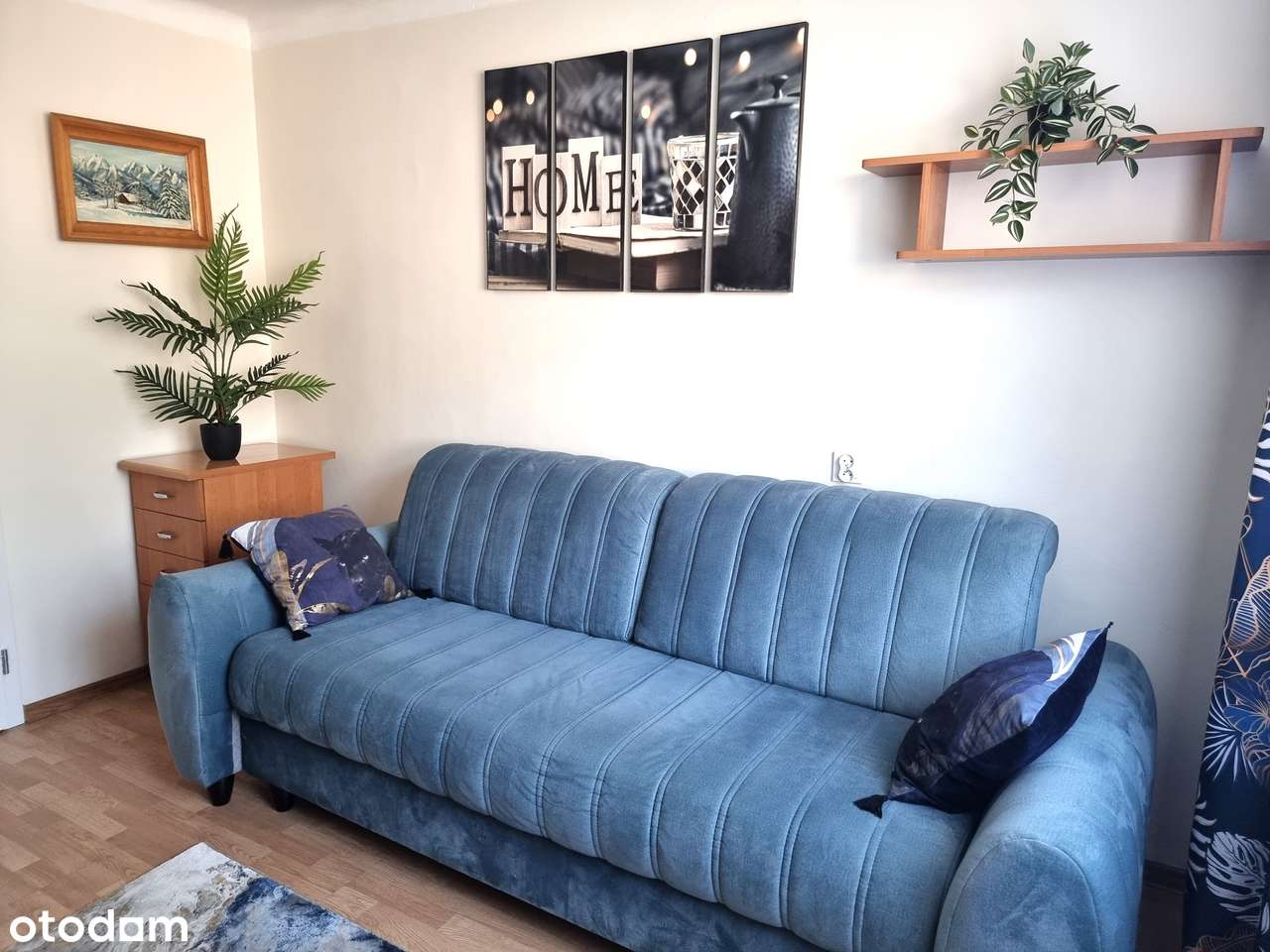 Mieszkanie w Centrum 2 pokoje 56 m2 parter - Pełny obrazek: 3/9