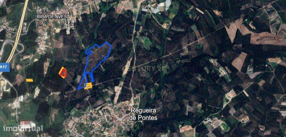 Terreno para venda, com 112 000m2 - Grande imagem: 4/4