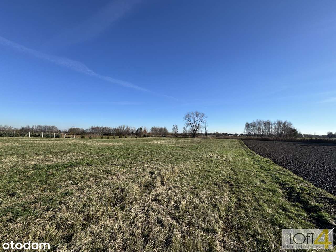Radłów - działka z potencjałem-11