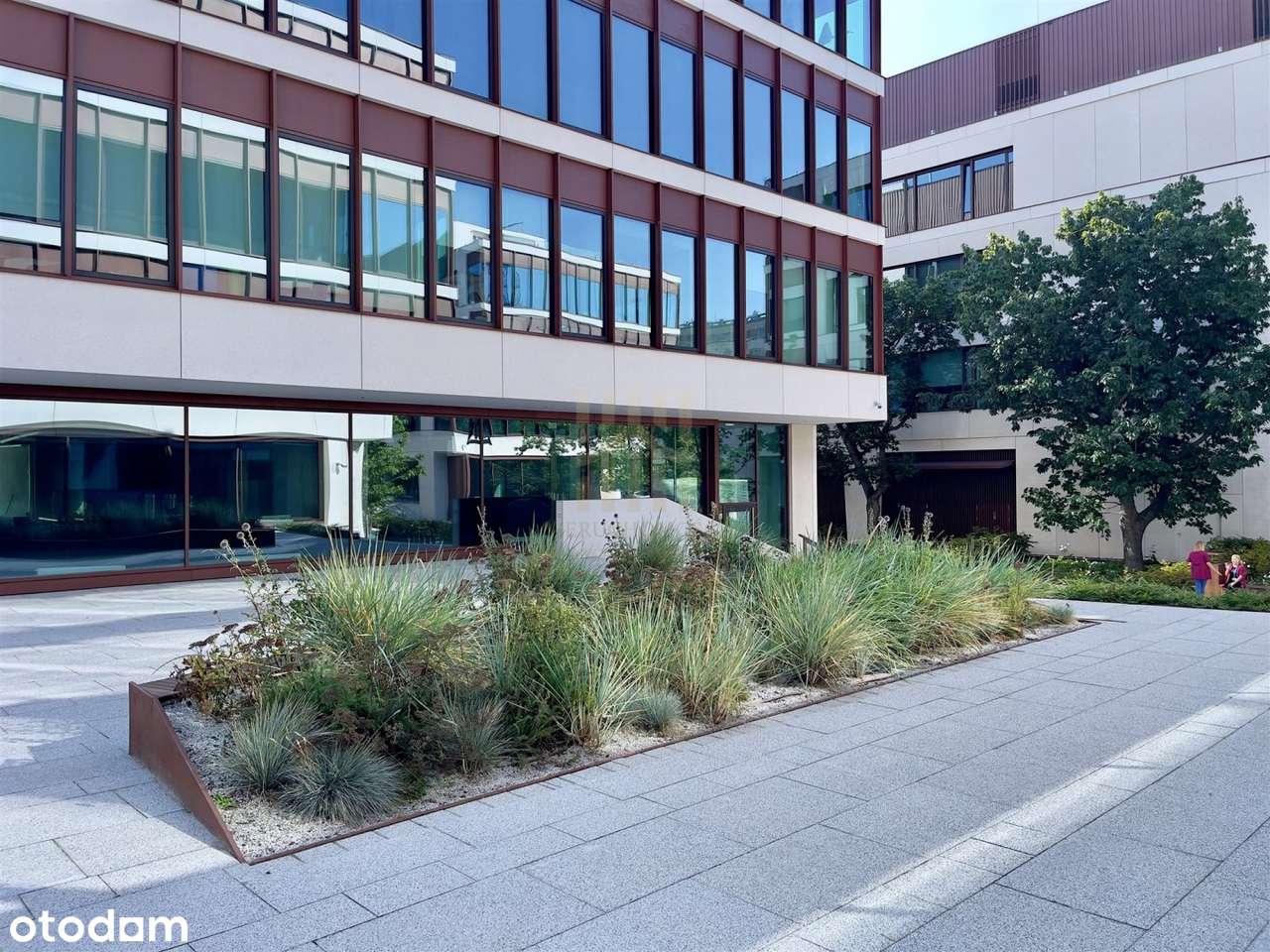 Lokal usługowy na parterze kompleksu przy marinie - Pełny obrazek: 5/18